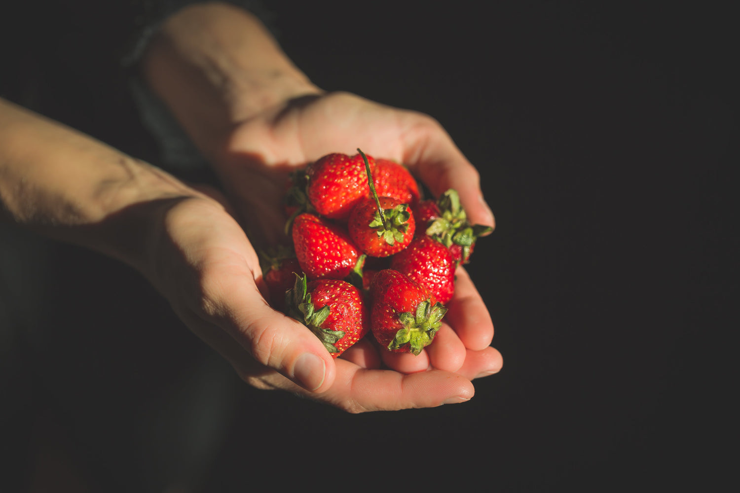 Farm Fresh Strawberries