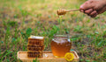 Honey Harvest - Three Daughters + Co