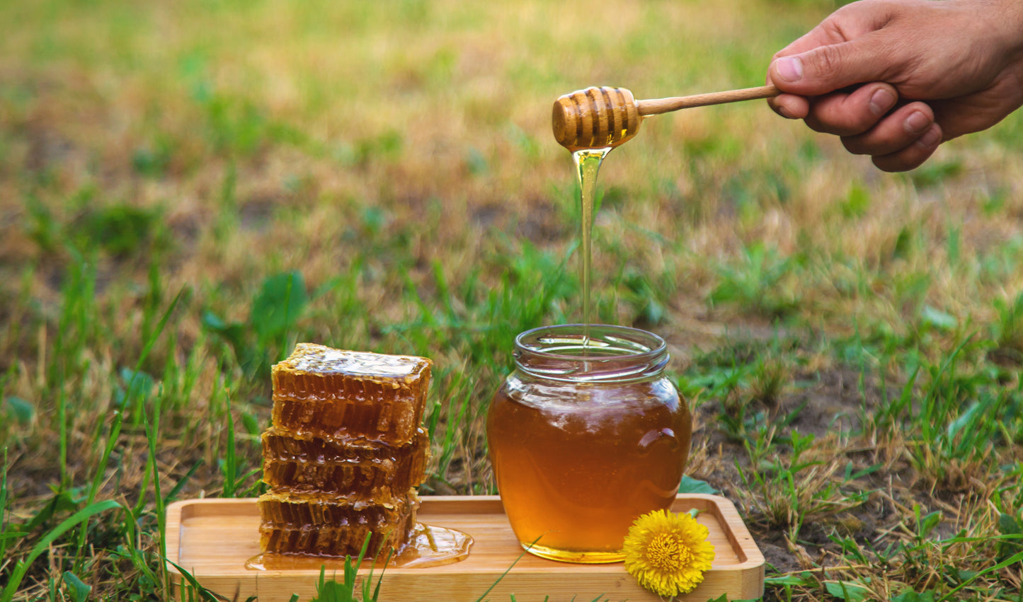 Honey Harvest - Three Daughters & Co